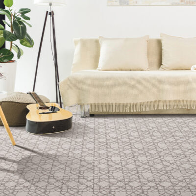 Classic Style Residential Carpet