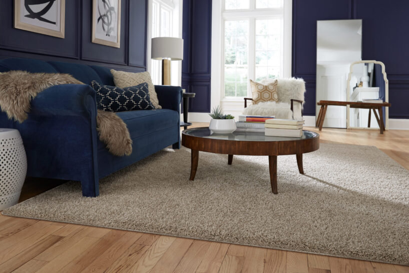 Shaggy Rugs for Living Room in New Boston, OH