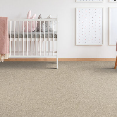 Plain Residential Floor Carpet in Ohio