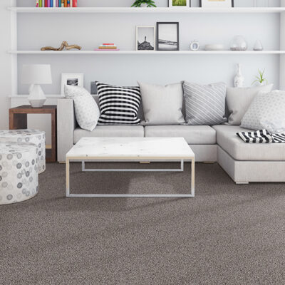 Modern Style Carpet for Living Room