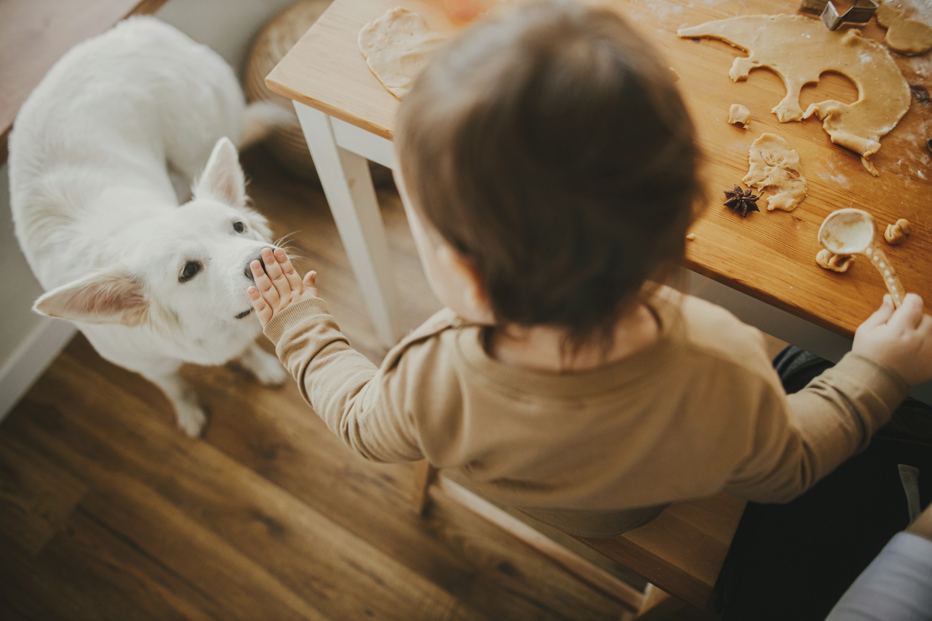 Kid & Pet Friendly Flooring